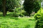 Bush Green Garden